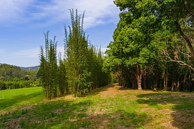 Lot 152 Stewarts River Road, Lorne, NSW 2439, 0房, 0浴, Lifestyle Property