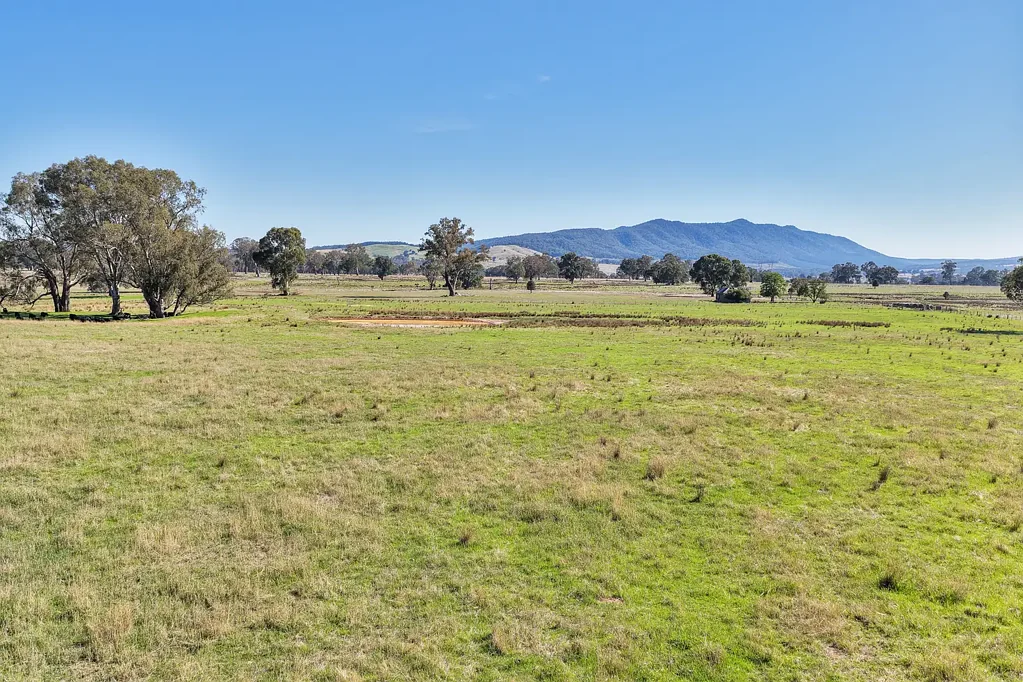 Mansfield SPACE, SERENITY & FUTURE POTENTIAL - 88 ACRES
