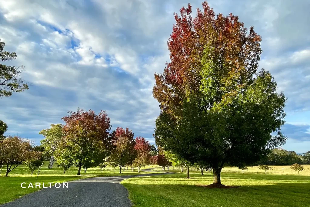 571 Wombeyan Caves Road, High Range, NSW 2575