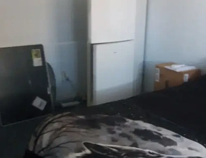 Address Withheld, Goondiwindi, QLD 4390, 4 phòng ngủ, 2 phòng tắm, House