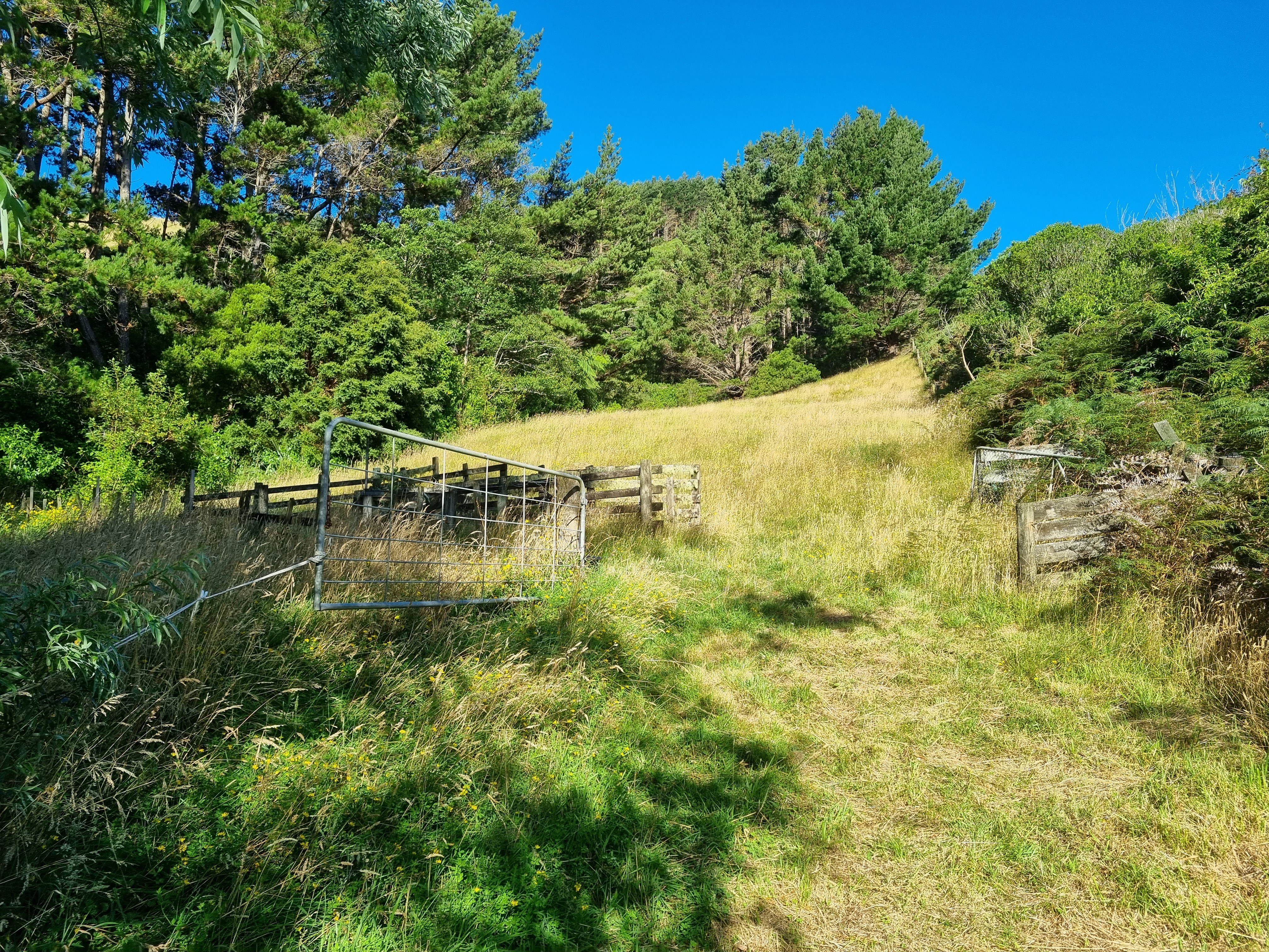 234 Stratton Street, Normandale, Lower Hutt, 0 Schlafzimmer, 0 Badezimmer, Lifestyle Section