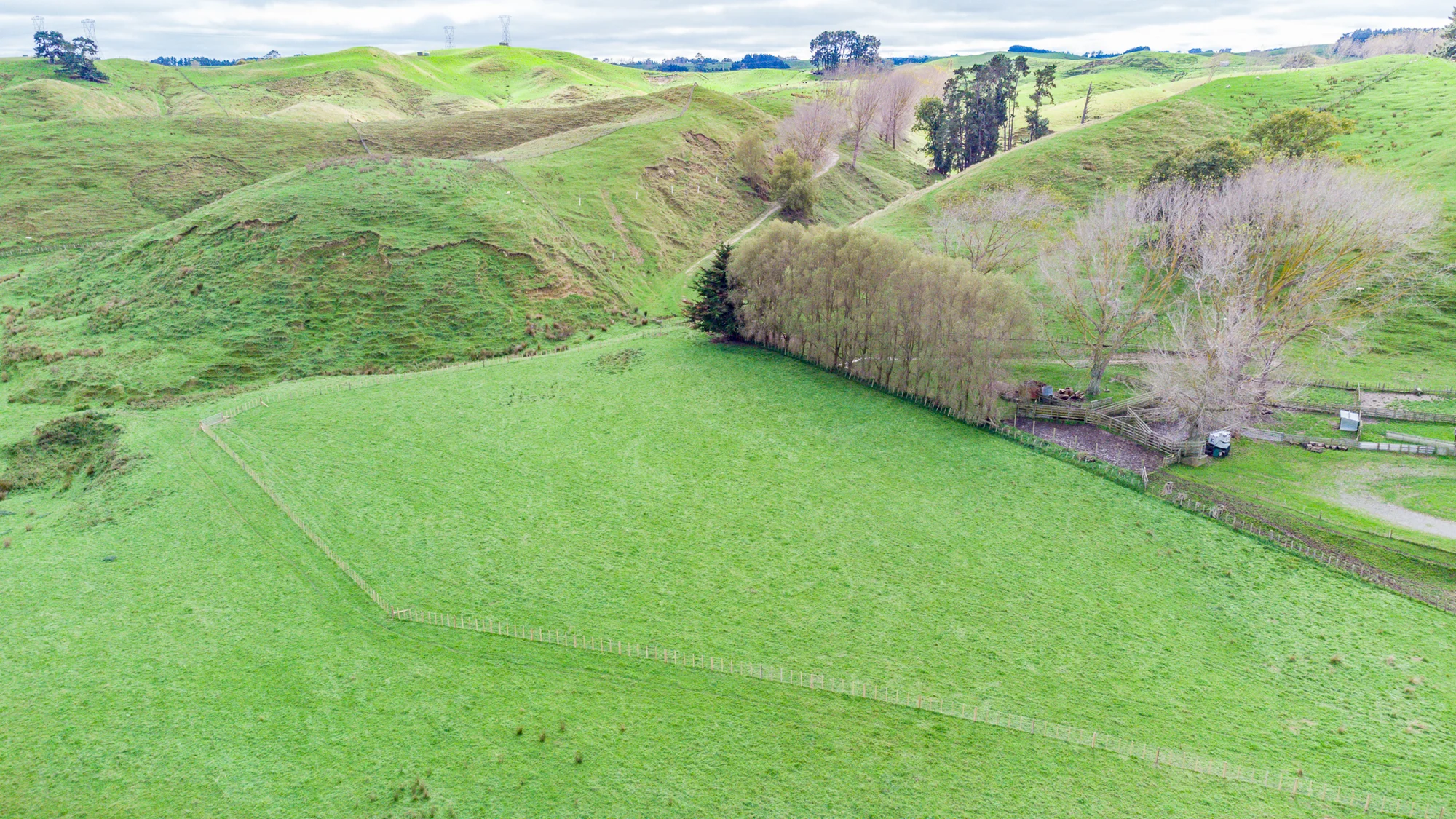 411 Valley Road, Colyton, Feilding, Manawatu, 0 Bedrooms, 0 Bathrooms, Lifestyle Section