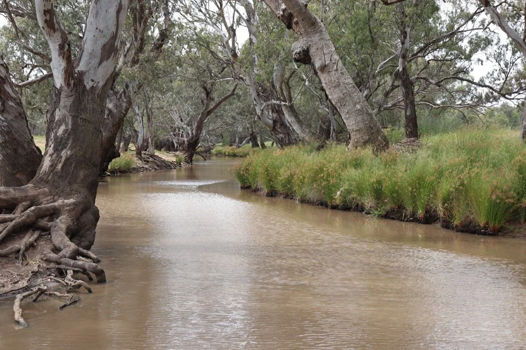 Parkes Affordable River Frontage + 830 Ac CROPS Included
