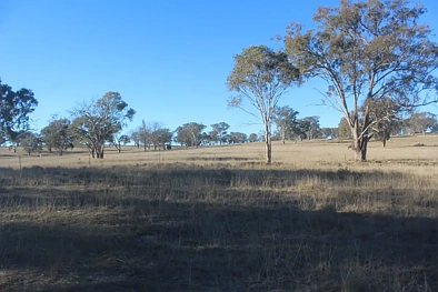 2087 Rabbit Fence Road, Pozieres, QLD 4352, 0房, 0浴, Section
