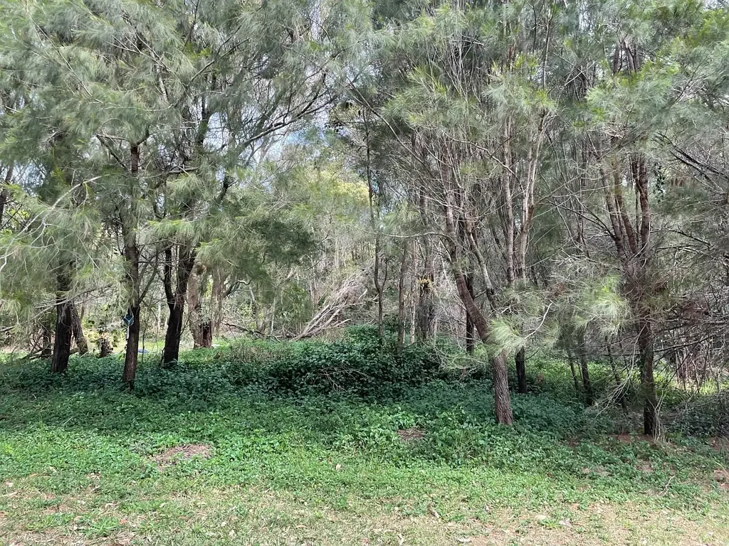 Macleay Island SOLD BY CAITLIN IN 1 DAY