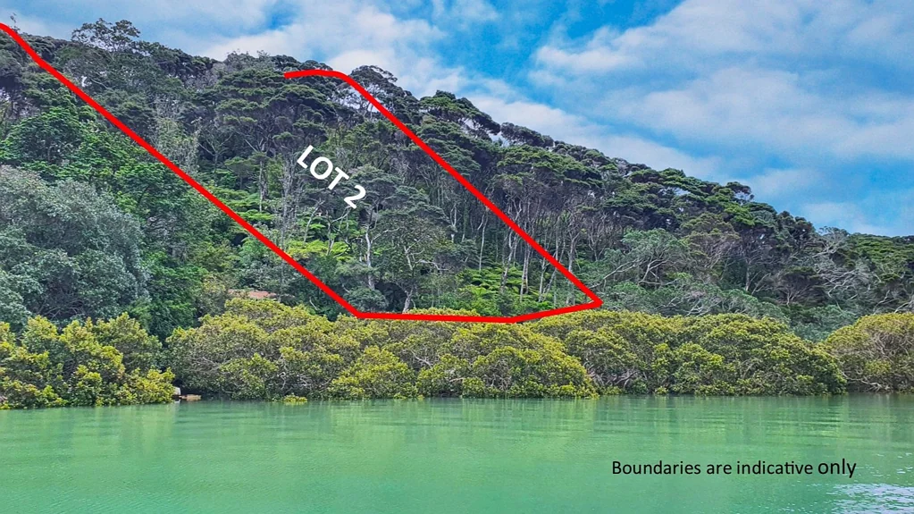Kawau Island A Wildly Affordable Island Escape!