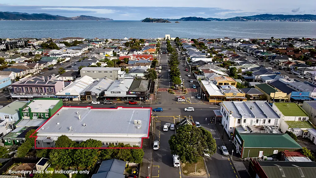 Petone  Unleash your vision here
