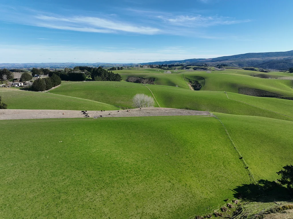 Lawrence  Versatile Sheep and Beef Property