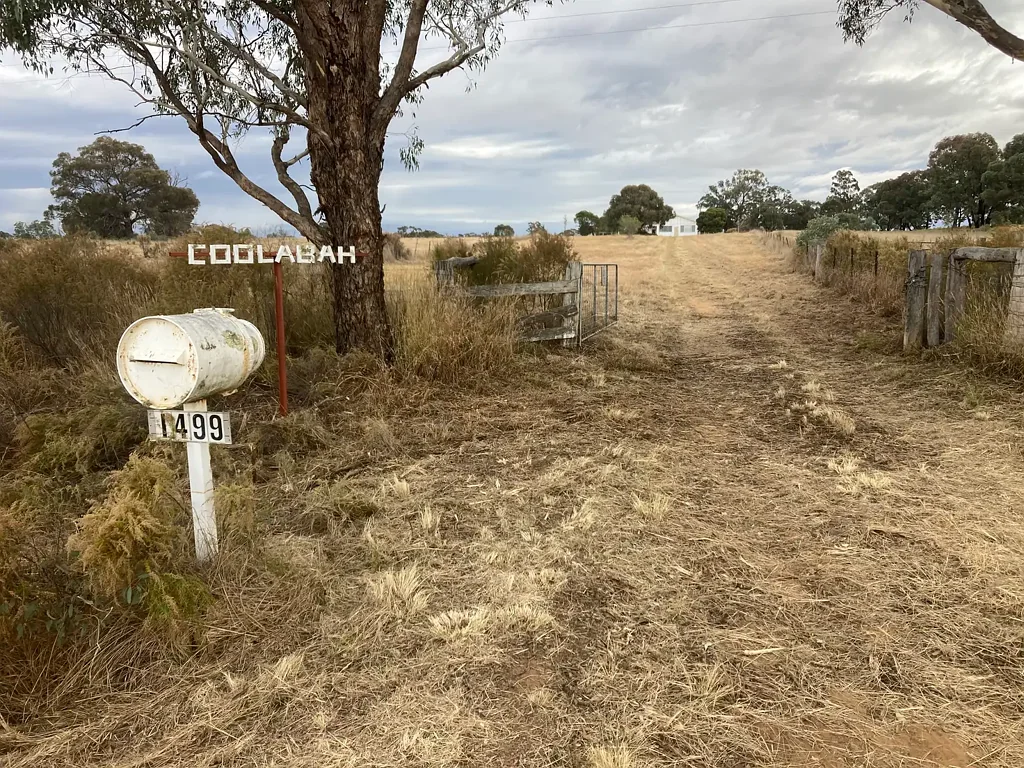 "Coolabah" 1499 Brooks Road, Binnaway, NSW 2395