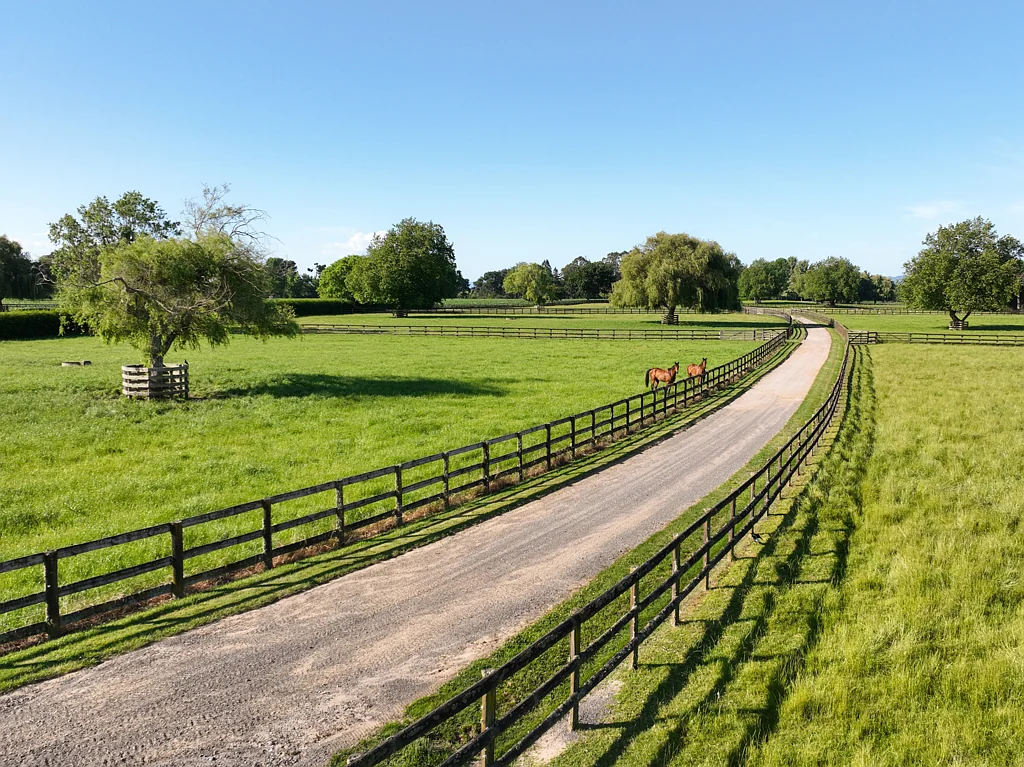 Tirau  Prime Waikato Estate - productivity and prestige
