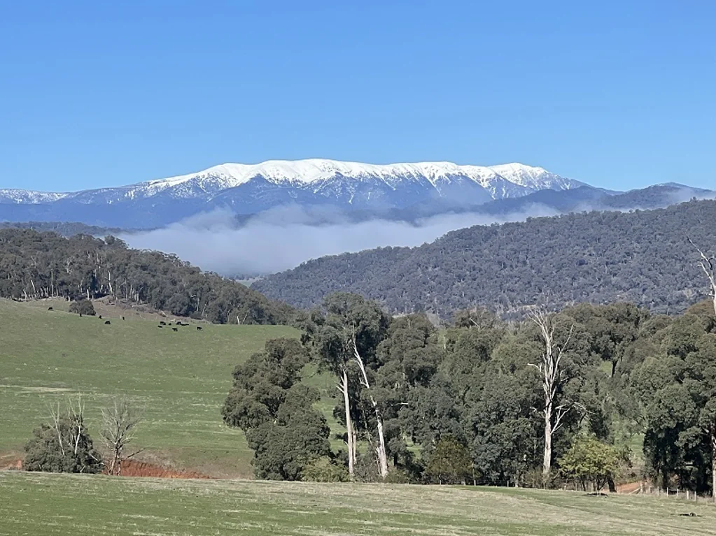 Mitta Mitta "BULLHEAD ROAD" IS YOUR PERFECT RECREATIONAL PROPERTY.   24.32*Ha / 60.11*Acres