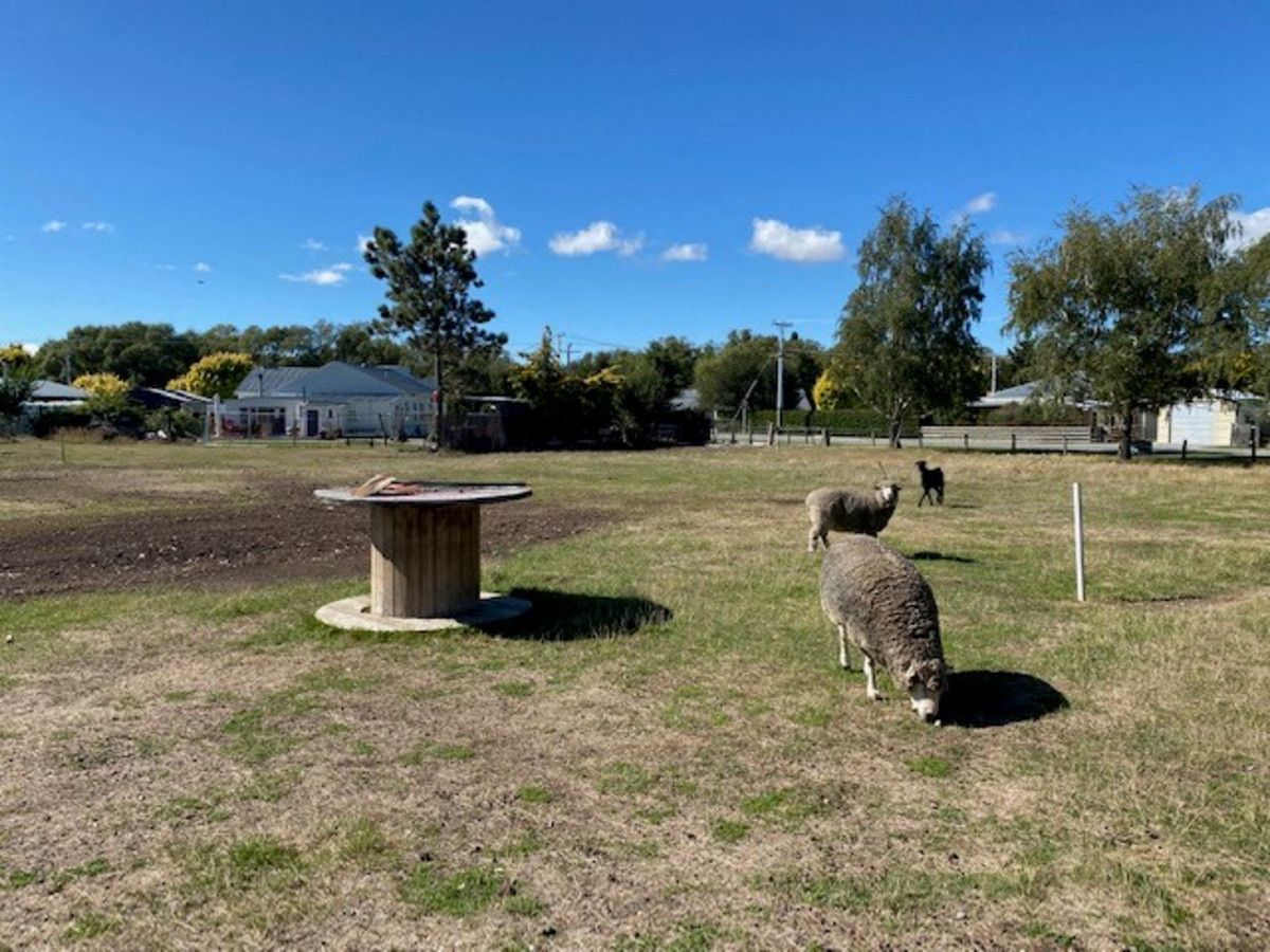 4 Cobham Crescent, Omakau, Otago, 1房, 1浴