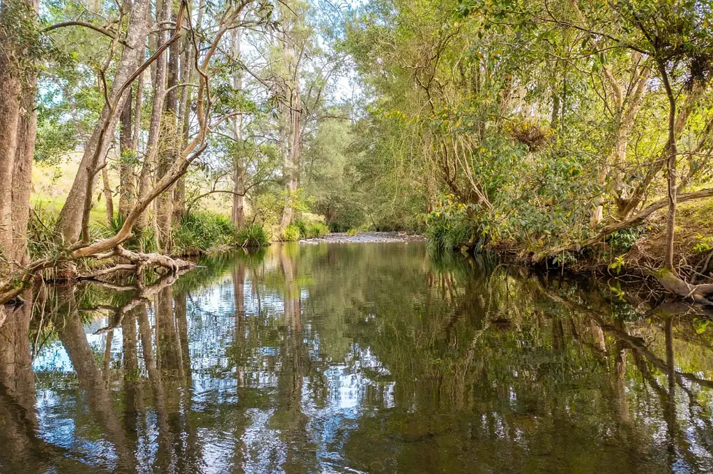 Lot 53 8414 Oxley Highway, Mount Seaview, NSW 2446