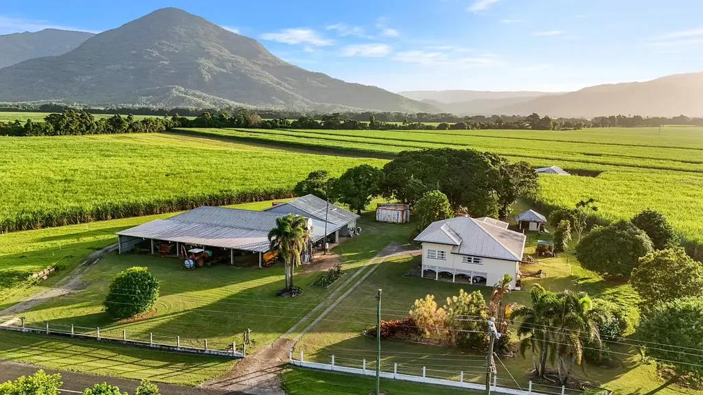 Gordonvale Established Sugar Cane Farm - 2 Titles - Gordonvale