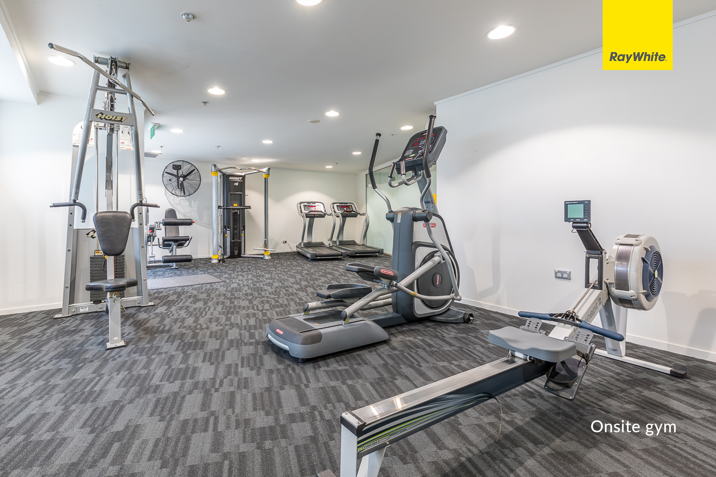 Level 12/430 Queen Street, Auckland Central, photo 13