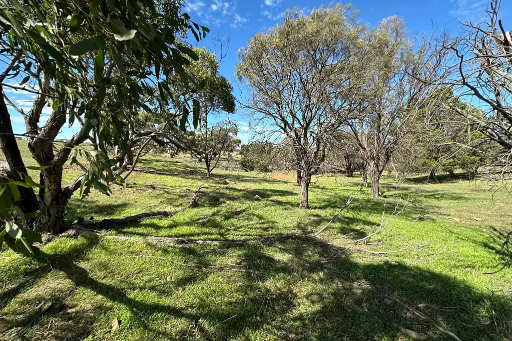 Monarto  Prime Rural Holding – Cropping, Grazing & Lifestyle Opportunity