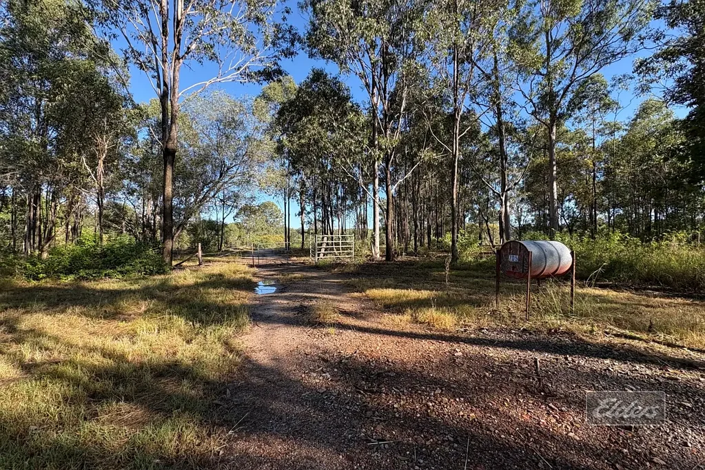Gundiah BLANK CANVAS WITH POWER, WATER & POTENTIAL