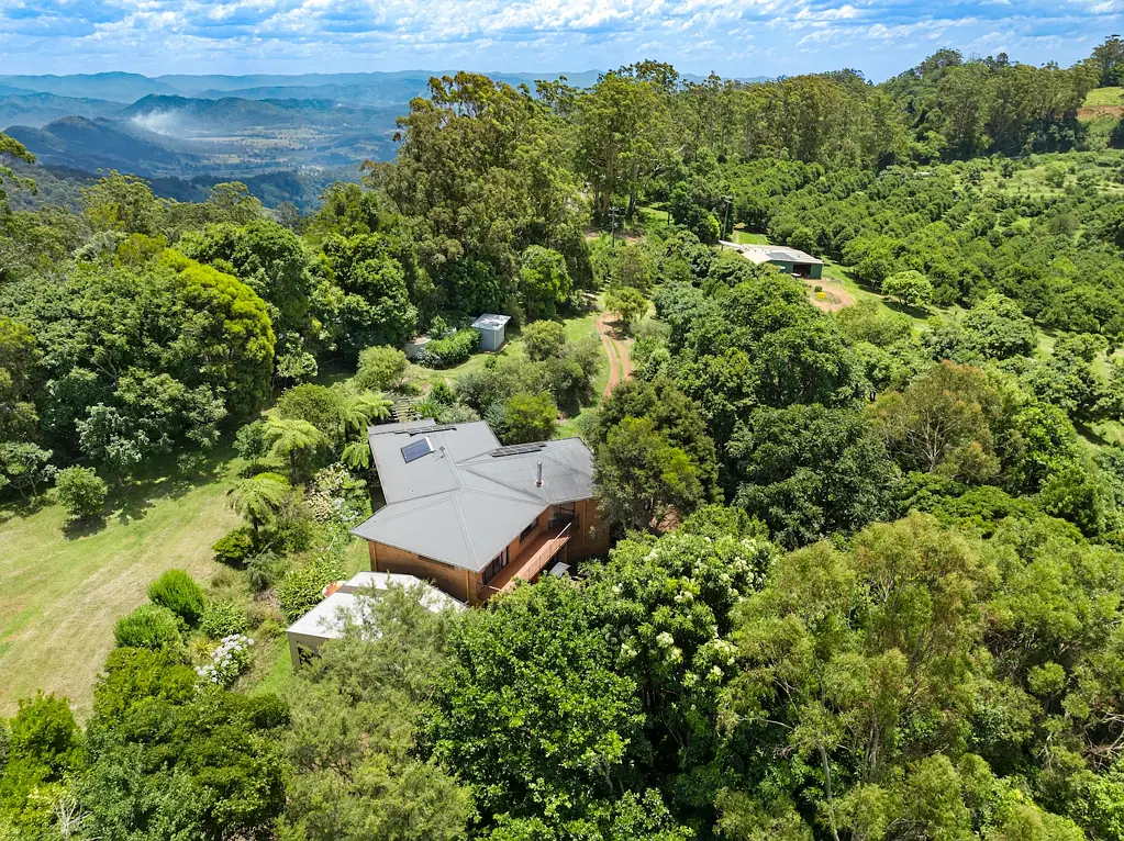 Comboyne Be Part of the Food Future - Macadamia and Avocado Farm NSW on the Comboyne Plateau. Diversity, innovation management and conservation farming