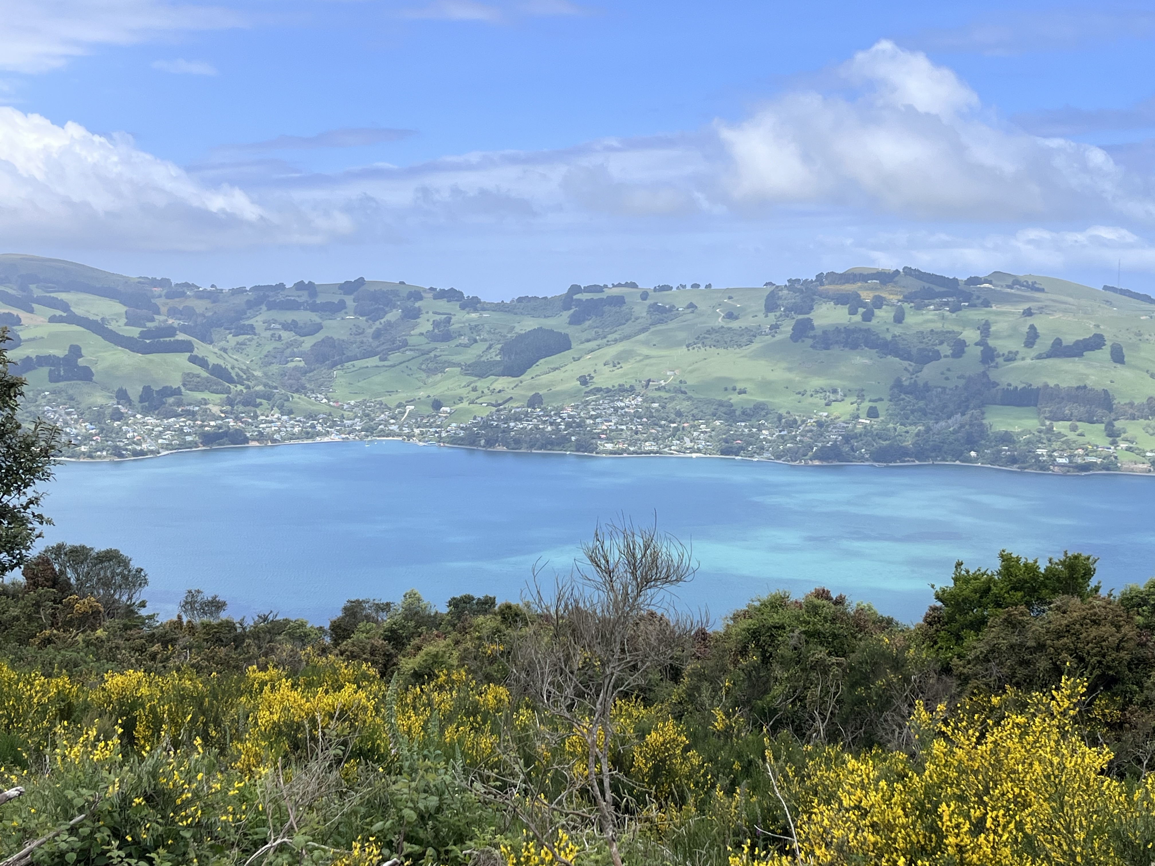 249 Signal Hill Road, Saint Leonards, Dunedin, 4房, 0浴, House