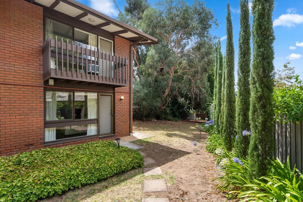 1/2 Alton Avenue, Torrens Park, SA 5062