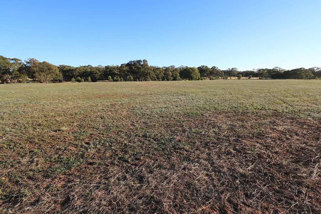 Nine Mile  DEVELOPERS ALERT - LAND BANK FOR THE FUTURE