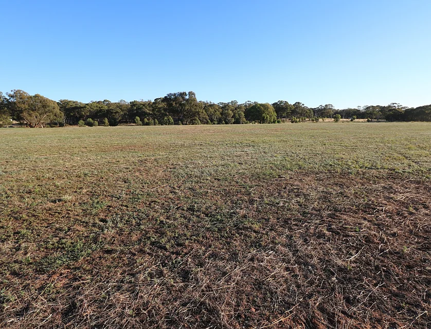 CA 6 Nine Mile-Wedderburn (opposite 85 Nine Mile Road Wedderburn) Road, Nine Mile, Bendigo, 0 Schlafzimmer, 0 Badezimmer, Lifestyle Property