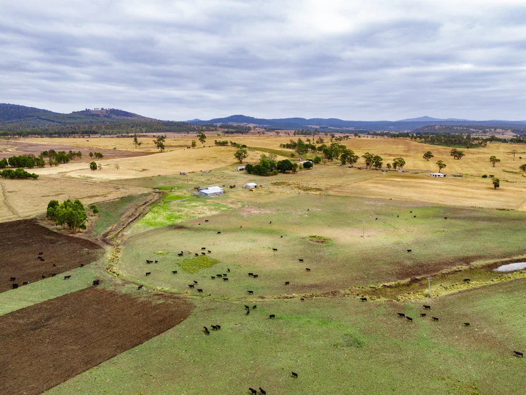 Buckland Versatile East Coast holding
