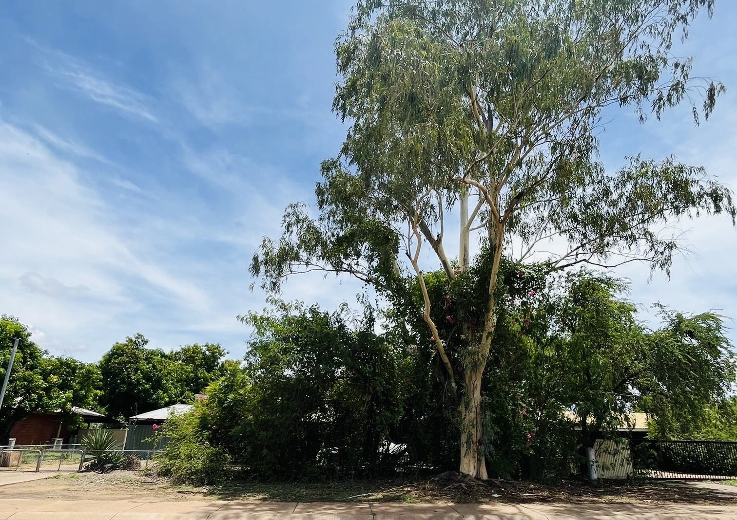 7 CASUARINA WAY, KUNUNURRA WA 6743, 0 ห้องนอน, 0 ห้องน้ำ, House