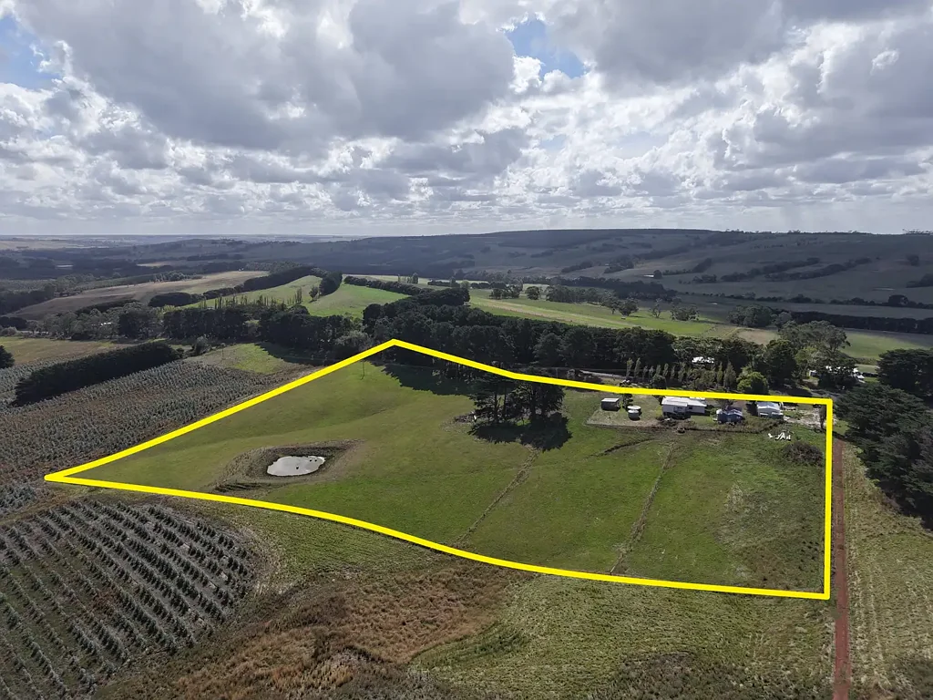 Scotts Creek 3房  Lifestyle Block with Potential