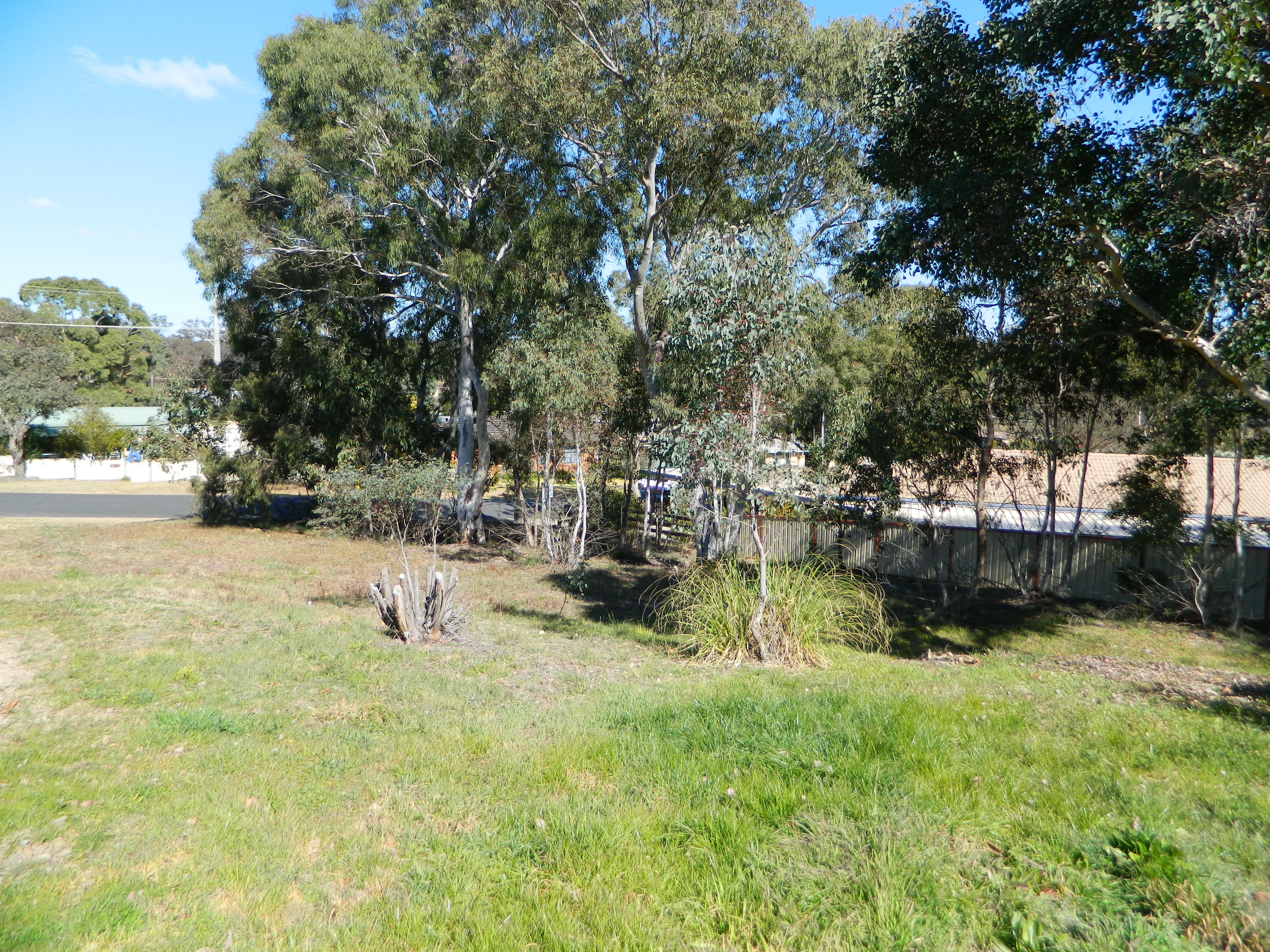 17 COOMBER ST, RYLSTONE NSW 2849, 0 침실, 0 욕실, Section