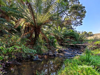 00 Dudfields Road, Mount Hicks, TAS 7325, 0 slaapkamers, 0 badkamers, Lifestyle Property