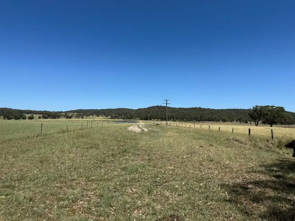 Stanthorpe  14 hectares vacant land ready to build on