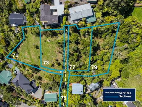 Wadestown Walk-On Sections - Ready to Go!