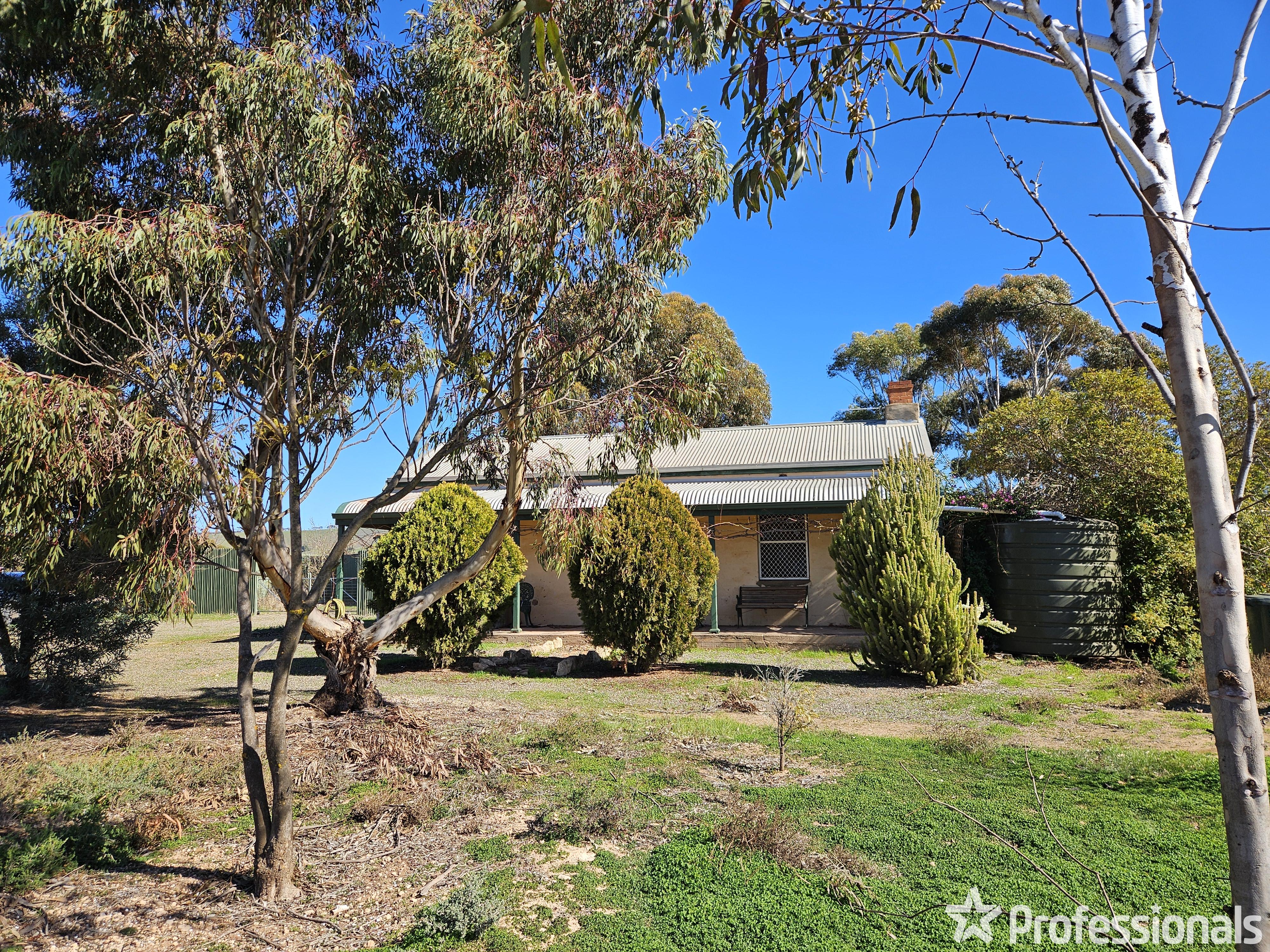 163 HILLS RD, ROBERTSTOWN SA 5381, 0房, 0浴, Lifestyle Property