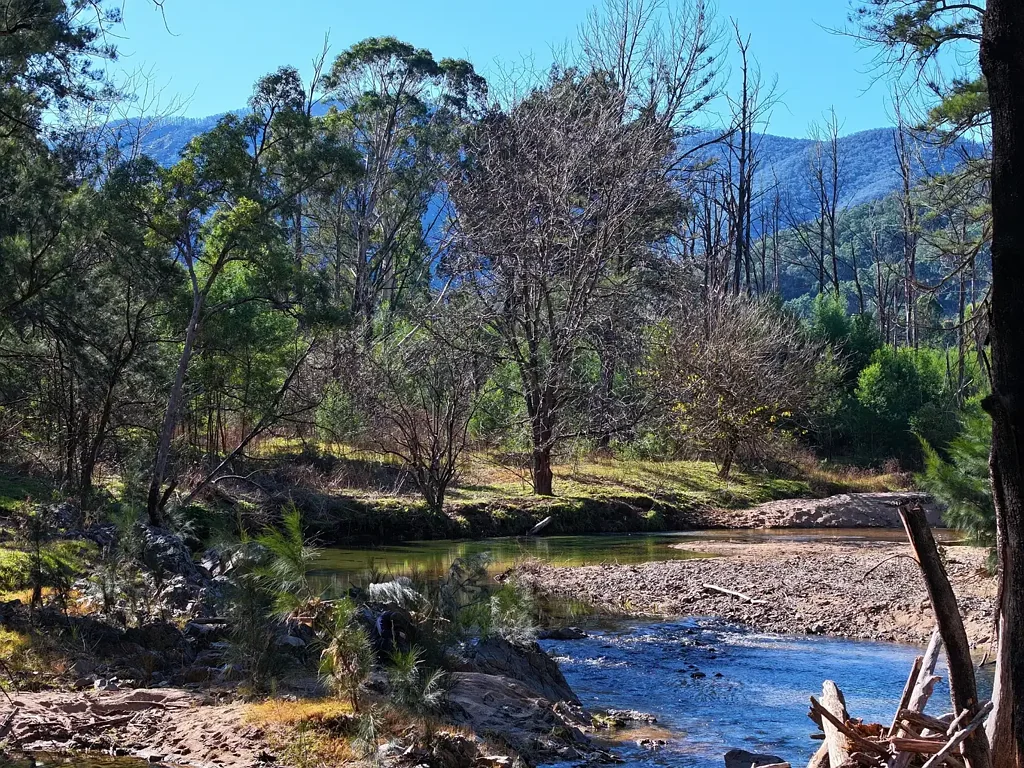Lot 4 Araluen Road, Araluen, NSW 2622