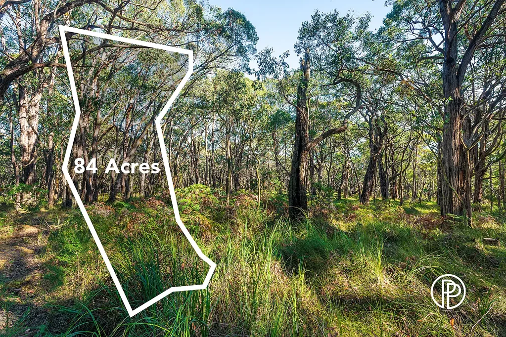 Launching Place 84.5 ACRES OF PRISTINE BUSHLAND