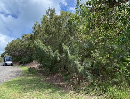 Lot DN Basil Bay Precinct, Keswick Island, Mackay, Mackay, 0 कमरे, 0 बाथरूम, Section