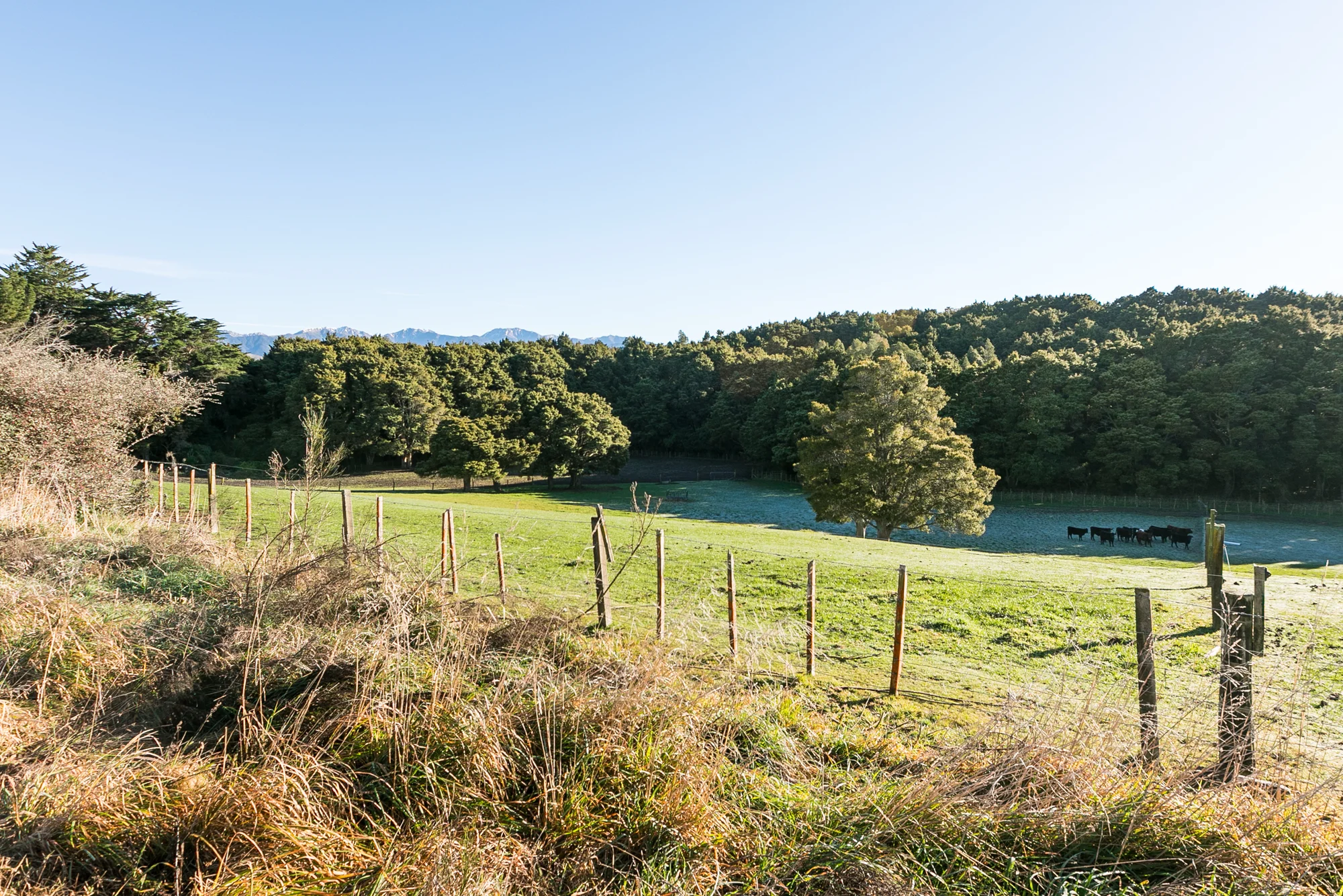 296 Mill Road, Ashley Clinton, Central Hawkes Bay, Hawkes Bay, 0 Bedrooms, 0 Bathrooms, Lifestyle Section