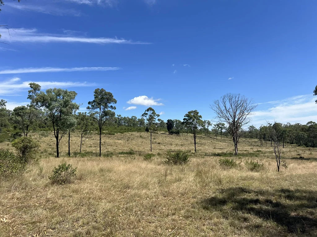 Nanango Forest Grazing Block