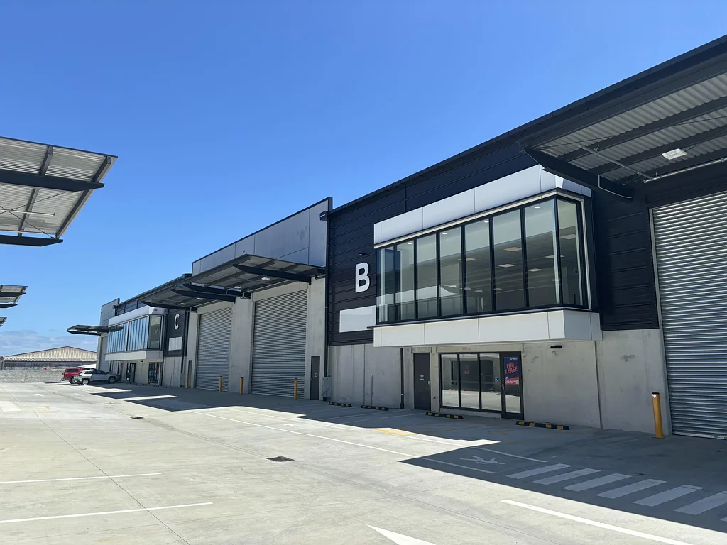 Manurewa Brand new 485sqm in Wiri