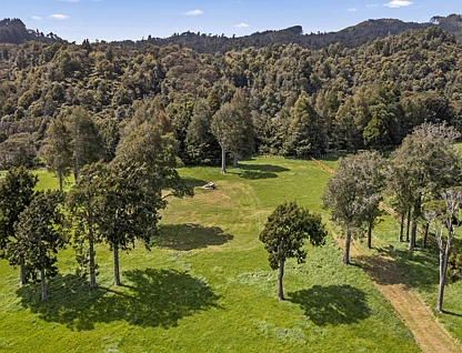 3028 State Highway 23, Raglan, Waikato, 0 Bedrooms, 0 Bathrooms, Lifestyle Section