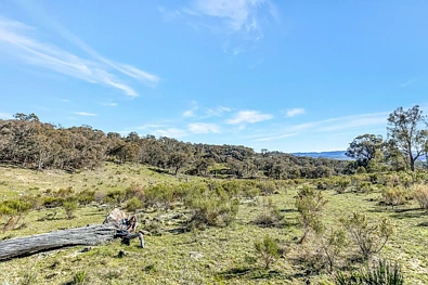 954 Pyramul Road, Mudgee, NSW 2850, 0房, 0浴, Lifestyle Property