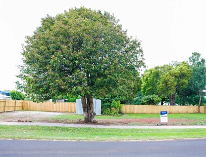 Lot 101 Alfred Street, Scottsdale, Launceston and North East, 0 Kuwarto, 0 Banyo, Section