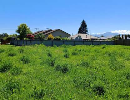 23 Hamilton Street, Fairlie, Canterbury, 0房, 0浴, 建地