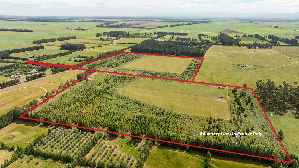 Dunsandel  Lifestyle Land Opportunities - Take One or Both