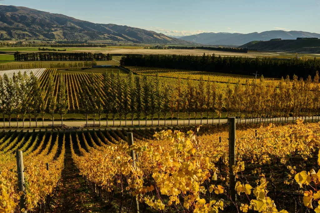 Bendigo Organic and Bio-dynamic - Quartz Reef Wines