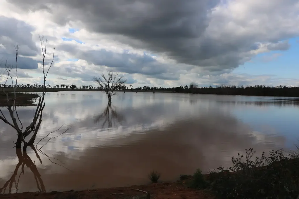 Trundle Mogong Valley - Being offered for the first time in close to 100 years.
