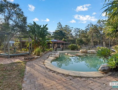 32-58 Olson Road, North Maclean, QLD 4280, 5 slaapkamers, 1 badkamers, House