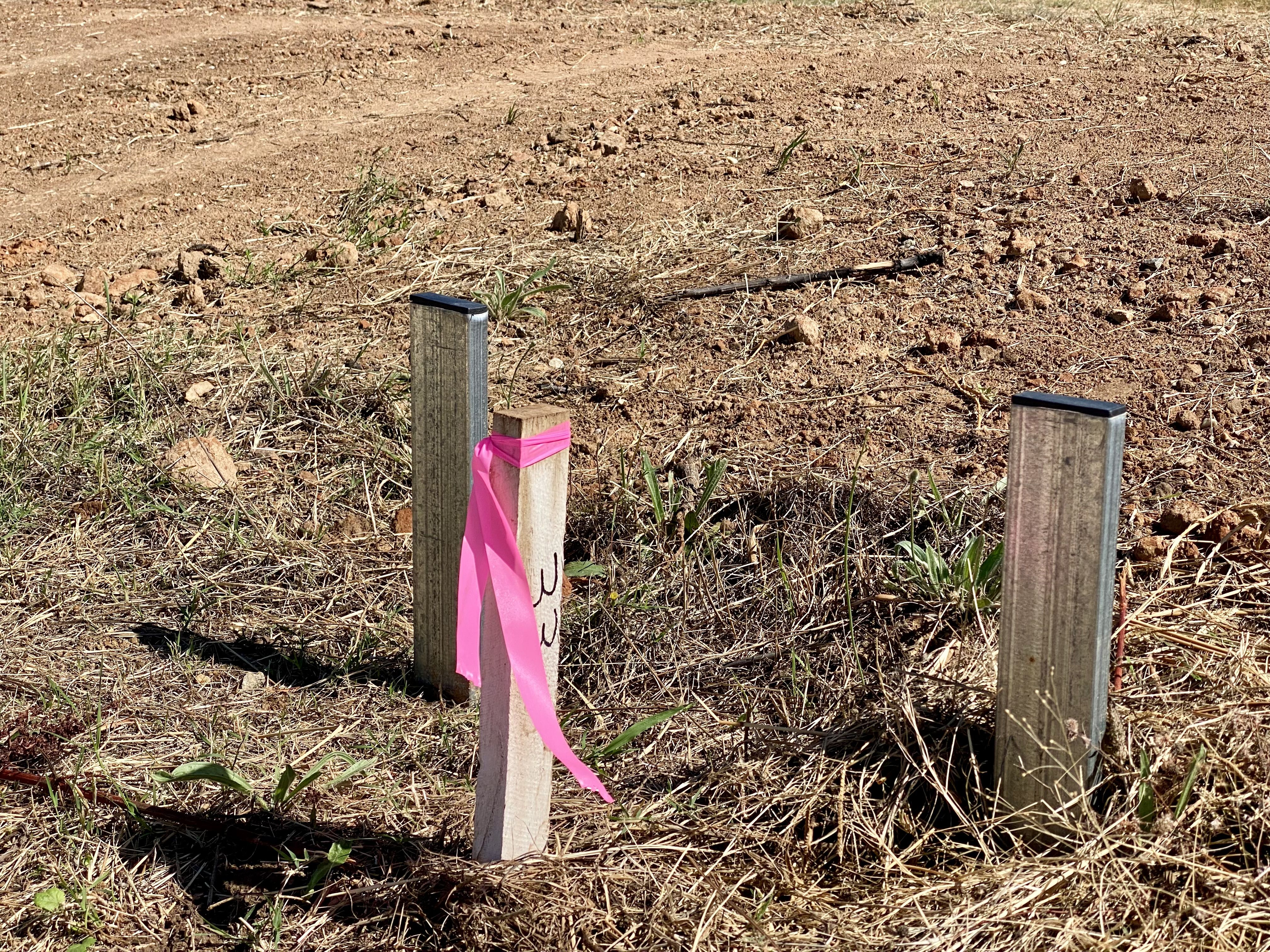 Lot 41 Cnr Dawson St and Frew Crt, Hamilton Valley, Riverina, 0部屋, 0バスルーム, Section