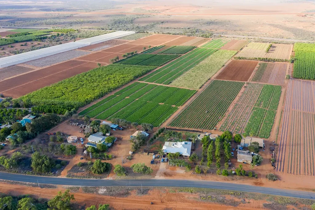South Plantations 7Kwarto 15 ACRES WITH 2 DWELLINGS – ZONED INTENSIVE HORTICULTURE